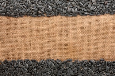 Similar image 22164112