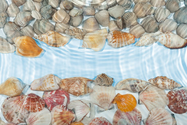 Similar image 22164121