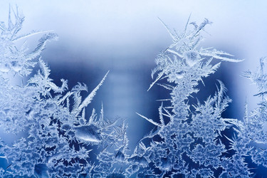 Similar image 22157962