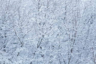 Similar image 22157964