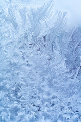 Similar image 22157968