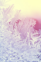 Similar image 22157970