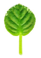 Similar image 22157975