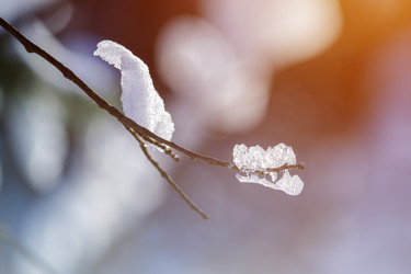 Similar image 22157986