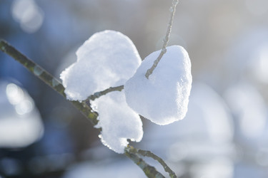 Similar image 22157988