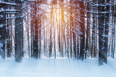 Similar image 22157990