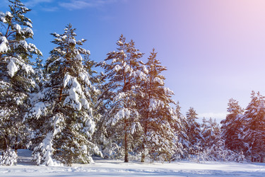 Similar image 22157994