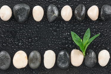 Similar image 22164131