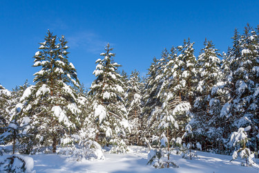 Similar image 22158236