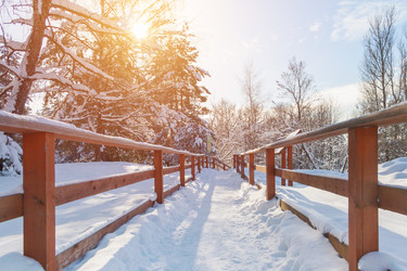 Similar image 22158242