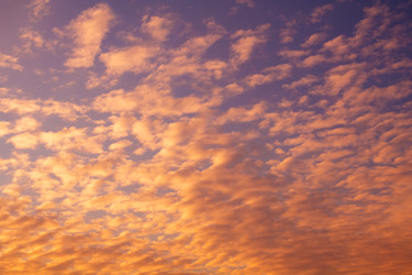 Similar image 22158265