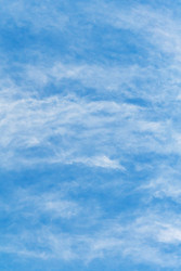 Similar image 22158285