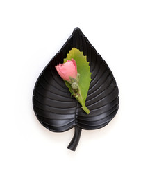 Similar image 22159063