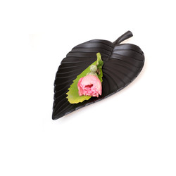 Similar image 22159066