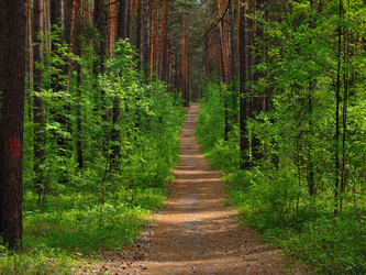 Similar image 22158287