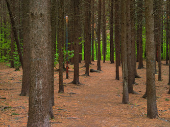 Similar image 22158288