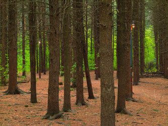 Similar image 22158289