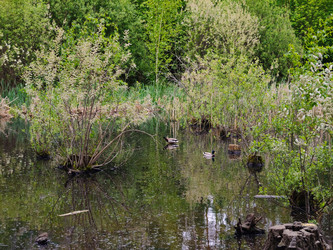 Similar image 22158290