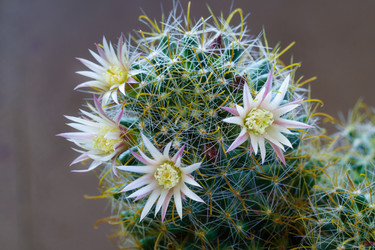 Similar image 22158299