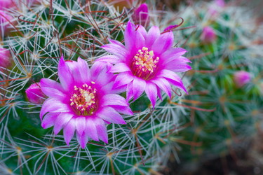 Similar image 22158303