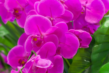 Similar image 22158318