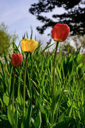 Similar image 22158341