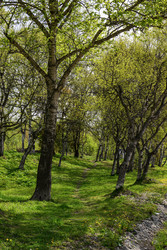 Similar image 22163864