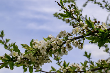 Similar image 22163866