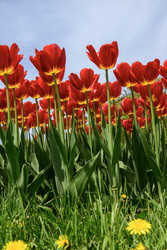 Similar image 22158342