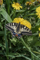 Similar image 22158344