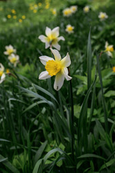 Similar image 22158346