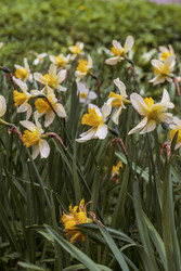 Similar image 22158347