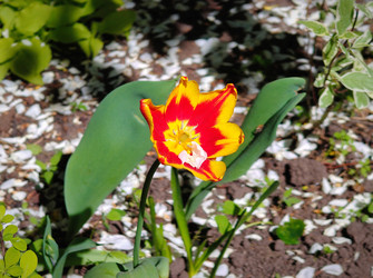 Similar image 22158351