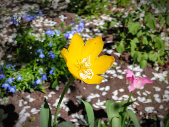 Similar image 22158686