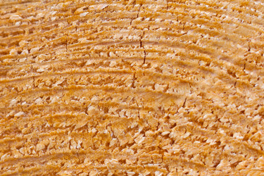 Similar image 22158374