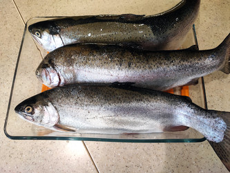 Similar image 22158689