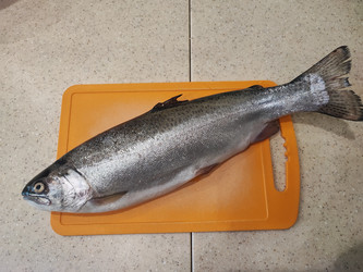 Similar image 22158690