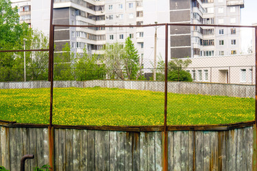 Similar image 22158895