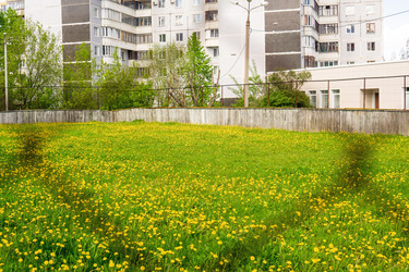 Similar image 22158897