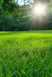 Similar image 22158907