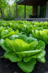 Similar image 22158909