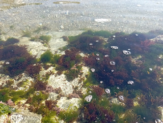 Similar image 22160229