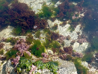 Similar image 22159621