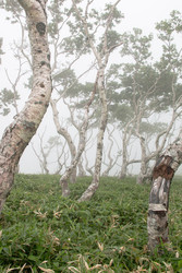 Similar image 22161351