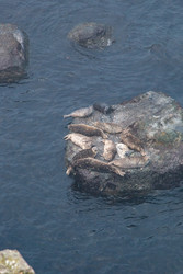 Similar image 22161352