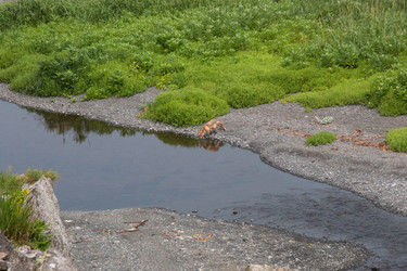 Similar image 22161353