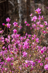 Similar image 22159208