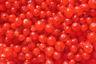 Similar image 22158405