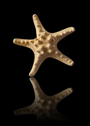 Similar image 22158423