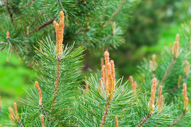 Similar image 22158439